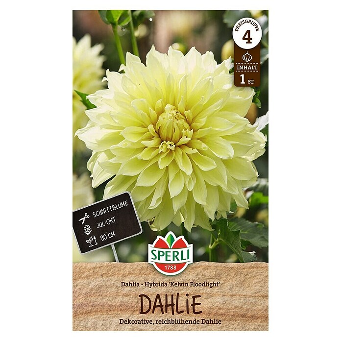 Sperli Bloembollen Kelvin Floodlight (Dahlia, Geel) | BAUHAUS