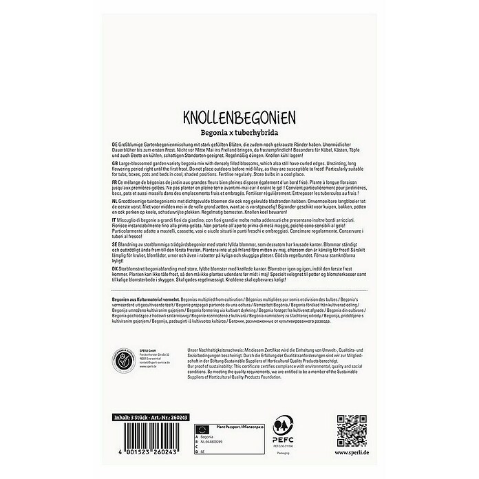 Sperli Bloembollen (Begonia, Verschillende kleuren) | BAUHAUS