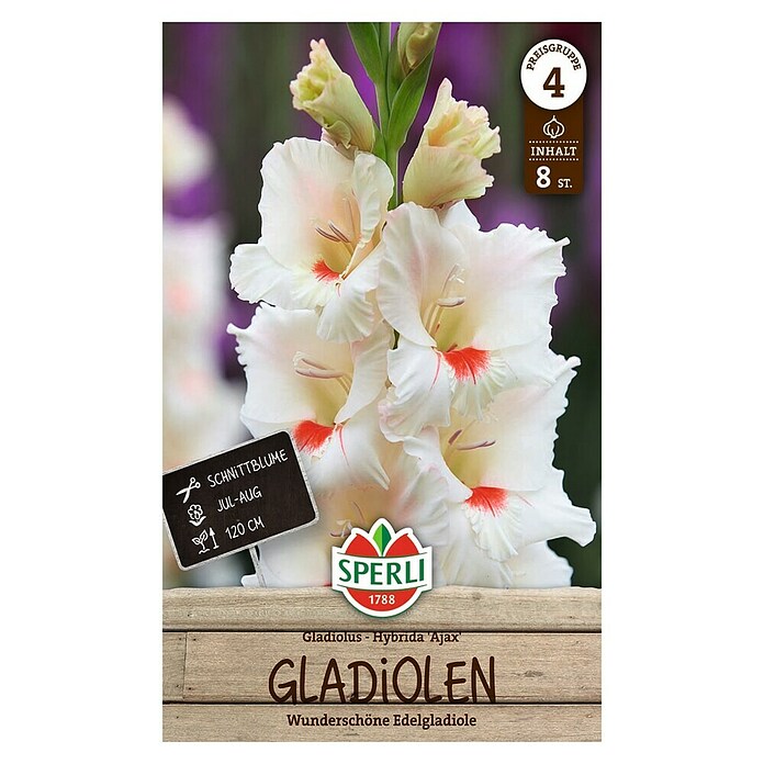 Sperli Bloembollen (Gladiolus, Wit) | BAUHAUS
