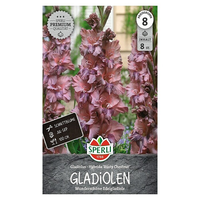 Sperli Bloembollen (Gladiolus, Oranje) | BAUHAUS