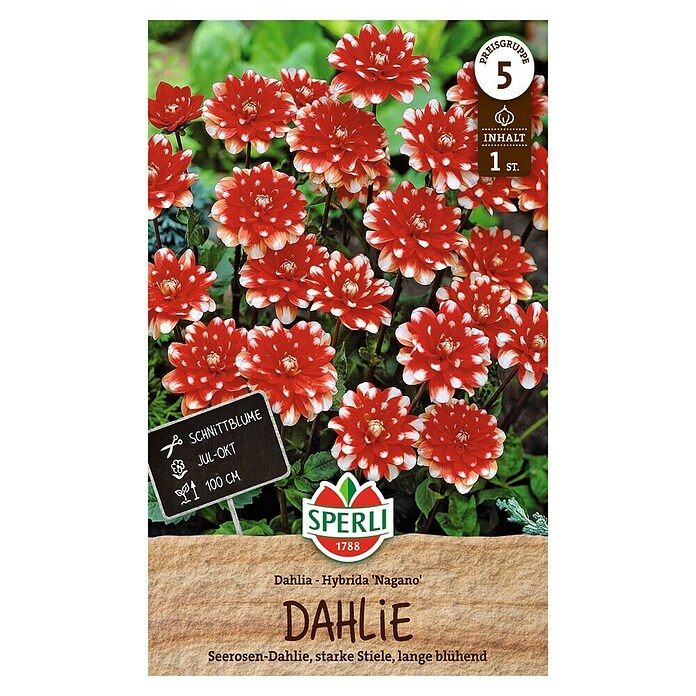 Sperli Bloembollen (Dahlia x Hybrida, Rood / Wit) | BAUHAUS