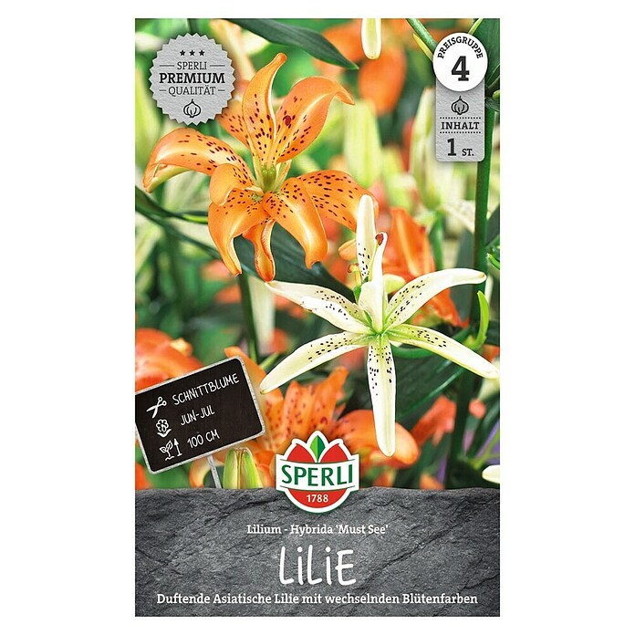 Sperli Bloembollen Must See (Lilium x Hybrida, Verschillende kleuren) | BAUHAUS