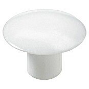 Hettich Pokrivna kapica  (Promjer: 12 mm, 1 Kom., Bijela) | BAUHAUS