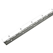 Stabilit Palični tečaj  (Do x Š x De: 600 x 32 x 0,6 mm, Nikljano) | 1151 - Konstruktionsbeschläge | AAEB - Möbelbeschläge | AAE - Beschläge | AA - Eisenwaren | A - Eisenwaren | BAUHAUS
