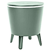 Keter Nevera Cool Bar (L x An x Al: 49,5 x 49,5 x 84,5 cm, Verde/Blanco) | BAUHAUS