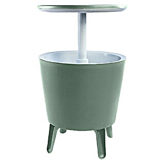 Keter Nevera Cool Bar (L x An x Al: 49,5 x 49,5 x 84,5 cm, Verde/Blanco)