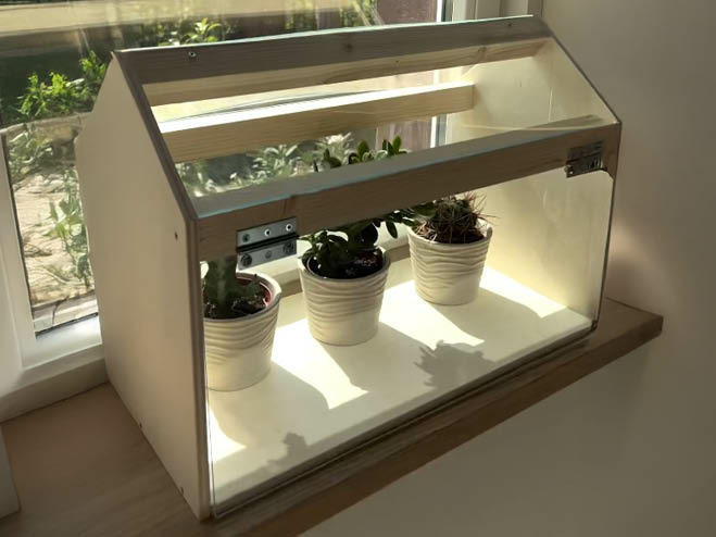 DIY Gewächshaus aus Holz und Acrylglas steht am Fensterbrett, darin drei kleine Pflanzen mit weißem Topf