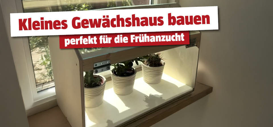 Titelbild zur Seite DIY Kleines Gewächshaus