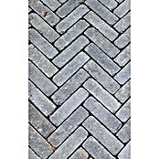 Christoph Pflasterstein CHR-Collo (24 x 12 x 7,1 cm, Beton, Anthrazit) | BAUHAUS