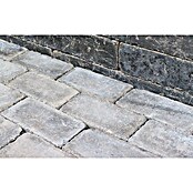 Christoph Pflasterstein CHR-Collo (24 x 12 x 7,1 cm, Beton, Anthrazit) | BAUHAUS