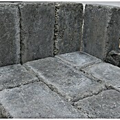 Christoph Pflasterstein CHR-Collo (24 x 12 x 7,1 cm, Beton, Anthrazit) | BAUHAUS