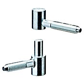Hettich Spojnice za vrata  (Pocinčano, Prikladno za: Drveni okviri, Ø x V: 13 x 39 mm) | BAUHAUS