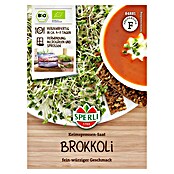 Sperli Gemüsesamen Bio Keimsprossen Brokkoli (Brassica rapa cymosa) | BAUHAUS
