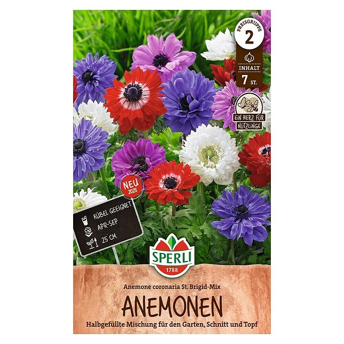 Sperli Bloembollen St. Brigid (Anemone coronaria, Verschillende kleuren) | BAUHAUS