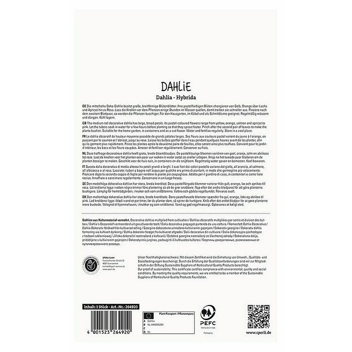 Sperli Bloembollen Dahlia Garden Desire (Dahlia x Hybrida, Verschillende kleuren, Levensduur planten: Vaste plant) | BAUHAUS