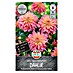 Sperli Bloembollen Dahlia Garden Desire 