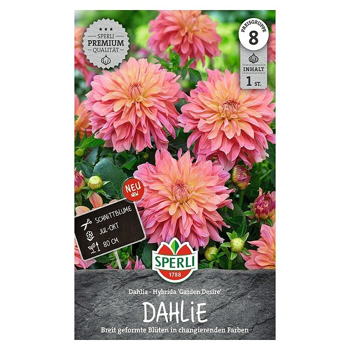 Sperli Bloembollen Dahlia Garden Desire (Dahlia x Hybrida, Verschillende kleuren, Levensduur planten: Vaste plant) | BAUHAUS