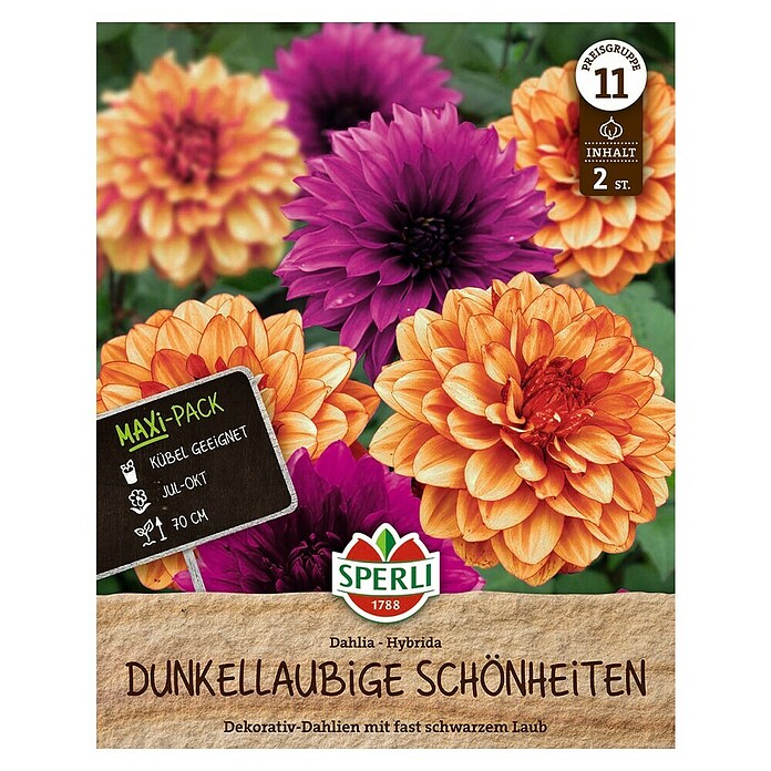 Sperli Bloembollen (Hoeveelheid bloemen: Gevuld, Dahlia x Hybrida, Verschillende kleuren) | BAUHAUS