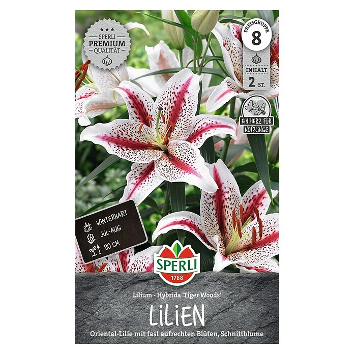 Sperli Bloembollen (Lilium x Hybrida, Verschillende kleuren) | BAUHAUS
