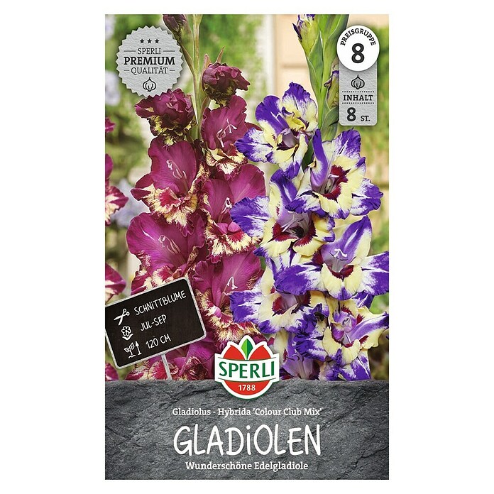 Sperli Bloembollen Gladiole Club Mix (Gladiolus, Verschillende kleuren) | BAUHAUS