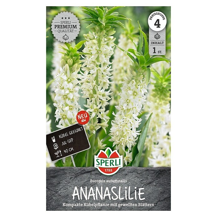 Sperli Bloembollen (Eucomis autumnalis, Vaste plant, Wit) | BAUHAUS