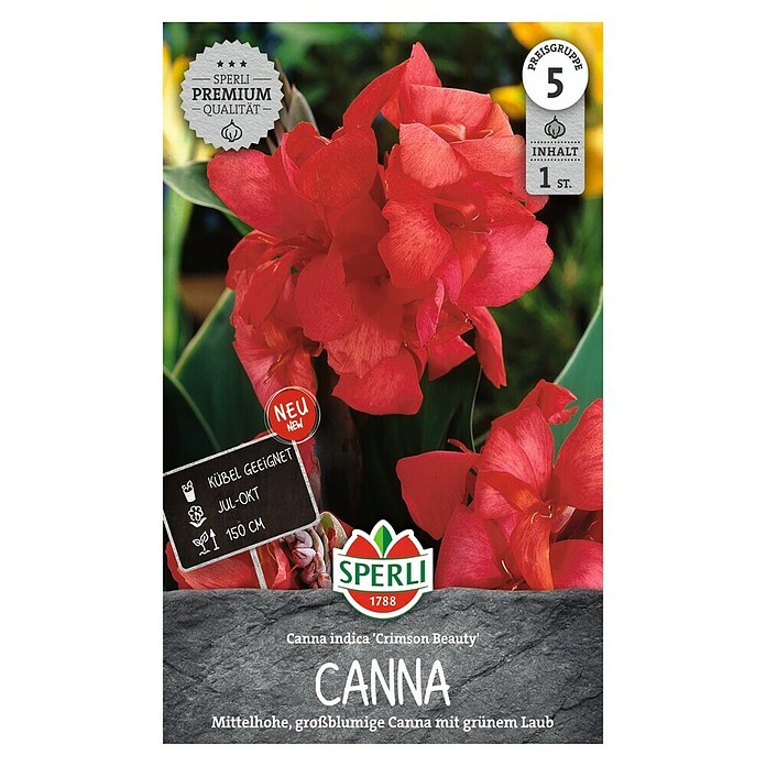 Sperli Bloembollen (Canna x Hybrida, Vaste plant, Roze) | BAUHAUS