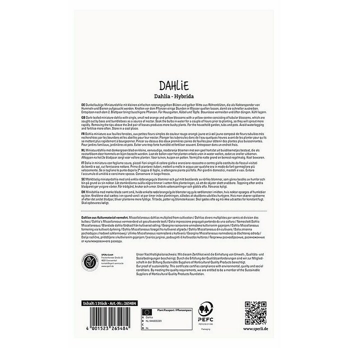 Sperli Bloembollen (Dahlia x Hybrida, Vaste plant, Verschillende kleuren) | BAUHAUS