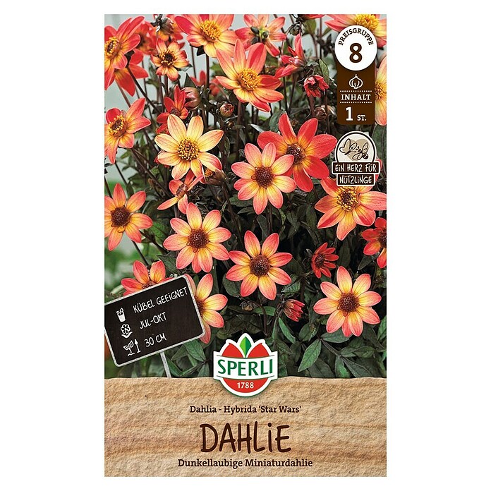 Sperli Bloembollen (Dahlia x Hybrida, Vaste plant, Verschillende kleuren) | BAUHAUS