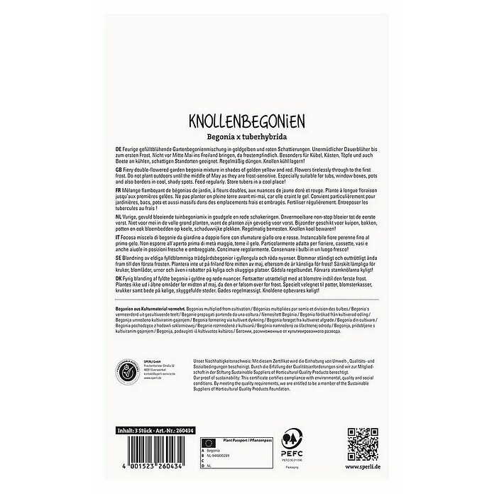 Sperli Bloembollen (Begonia x Tuberhybrida, Verschillende kleuren, Levensduur planten: Vaste plant) | BAUHAUS