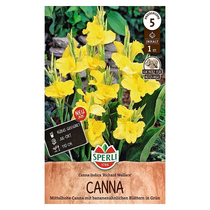 Sperli Bloembollen (Canna x Hybrida, Geel) | BAUHAUS