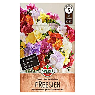 Sperli Bloembollen (Freesia x Hybrida, 10 st.)