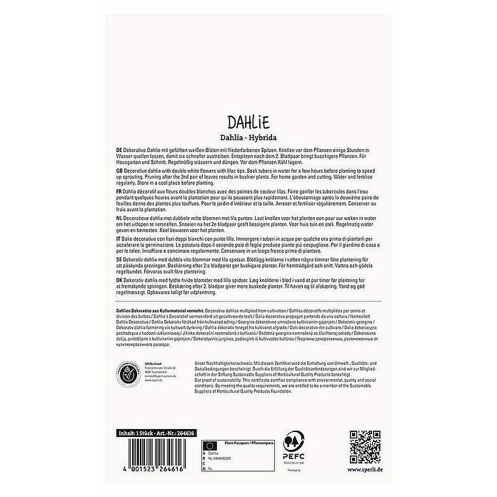 Sperli Bloembollen (Dahlia, Wit) | BAUHAUS