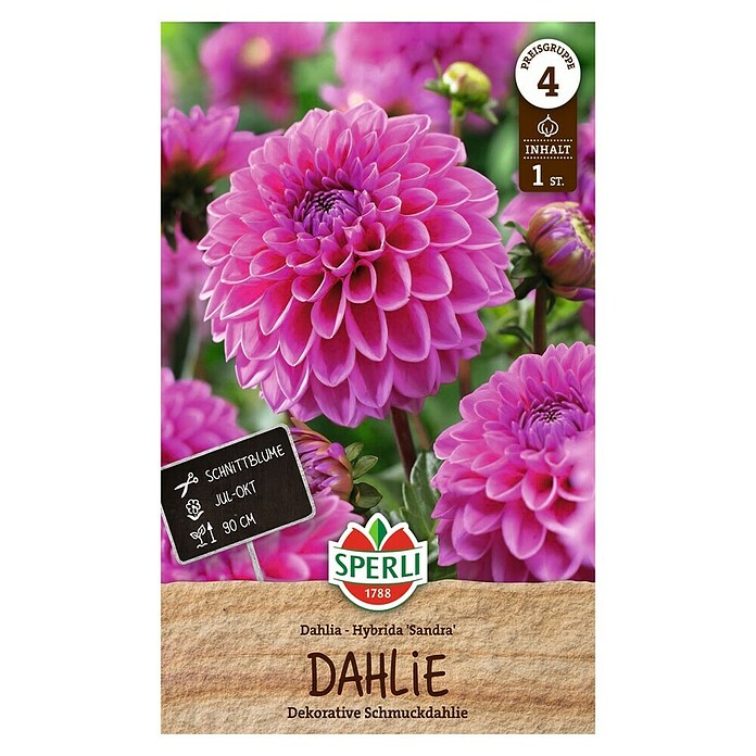 Sperli Bloembollen (Levensduur planten: Vaste plant, Pink) | BAUHAUS