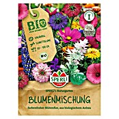 Sperli Bloemzaden (Verschillende soorten, Verschillende kleuren) | BAUHAUS