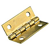 Hettich Šarnirji  (Do x Š x V: 30 x 20 x 30 mm, Medeninasta prevleka, 1 kos) | 1151 - Konstruktionsbeschläge | AAEB - Möbelbeschläge | AAE - Beschläge | AA - Eisenwaren | A - Eisenwaren | BAUHAUS