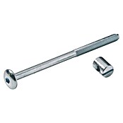 Hettich Povezovalni vijak  (Ø x Do: 6 x 100 mm) | 1151 - Konstruktionsbeschläge | AAEB - Möbelbeschläge | AAE - Beschläge | AA - Eisenwaren | A - Eisenwaren | BAUHAUS