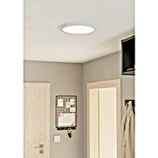 Eglo Fueva 5 Plafón LED redondo Fueva (Ø x Al: 28,5 x 2,8 cm, 20 W, Blanco, Blanco neutro) | BAUHAUS