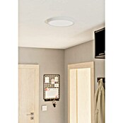 Eglo Fueva 5 Plafón LED redondo Fueva (Ø x Al: 28,5 x 2,8 cm, 20 W, Blanco, Blanco neutro) | BAUHAUS