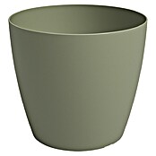 Artevasi Übertopf San Remo (Matt, Grün, Ø x H: 6 x 5,8 cm) | BAUHAUS
