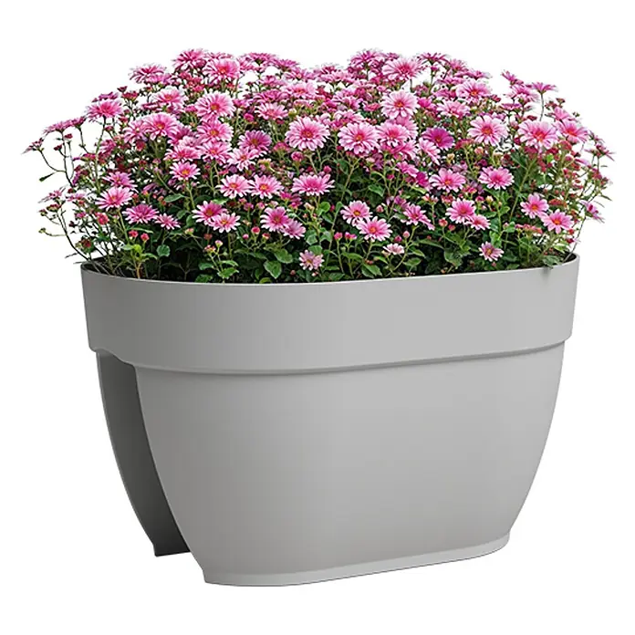 Artevasi Capri Campana Balkonkasten - L x B x H: 39 x 25,6 x 22,5 cm, Kunststoff, Grau, Matt - Elegante Pflanzschale in Grau mit üppigen rosa Chrysanthemen, ideal für Garten oder Balkon. Die schlichte Formgebung bringt die Blütenpracht optimal zur Geltung.