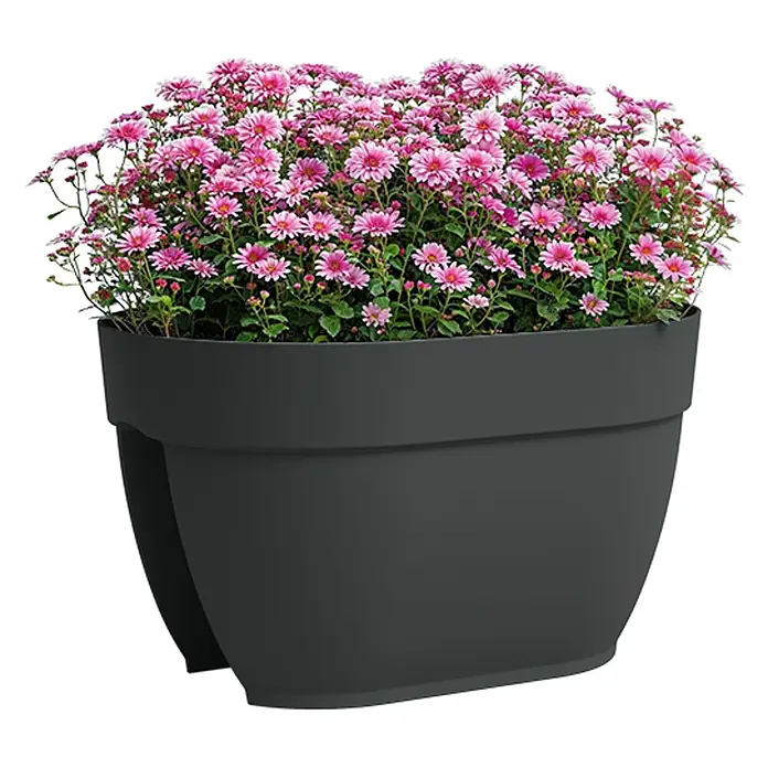 Artevasi Capri Campana Balkonkasten - L x B x H: 39 x 25,6 x 22,5 cm, Kunststoff, Anthrazit, Matt - Ein grauer Pflanzkübel mit pinkfarbenen Chrysanthemen. Der Topf hat ein modernes Design und ist ideal für den Innen- und Außenbereich.