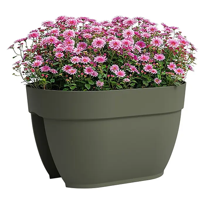 Artevasi Capri Campana Balkonkasten - L x B x H: 39 x 25,6 x 22,5 cm, Kunststoff, Dunkelgrün, Matt - Nahaufnahme eines graugrünen Pflanzgefäßes mit üppigen rosa Chrysanthemen, ideal für die Dekoration von Gärten und Terrassen.