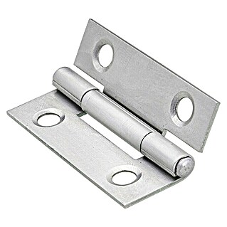 Hettich Scharniere (L x B x S: 40 x 25 x 1 mm, Edelstahl)