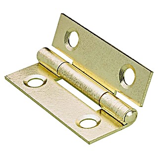 Hettich Scharniere (L x B x H: 40 x 25 x 40 mm, Vermessingt, 1 Stk.)