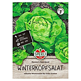 Sperli Groentezaden Nansen's Noordpool (Lactuca sativa)