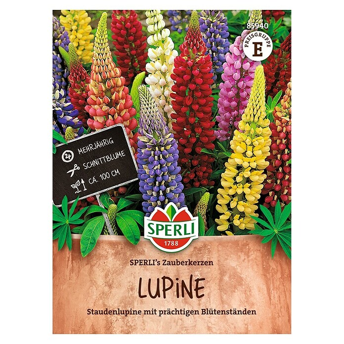 Sperli Bloemzaden (Lupinus polyphyllus, Verschillende kleuren) | BAUHAUS