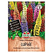 Sperli Bloemzaden (Lupinus polyphyllus, Verschillende kleuren) | BAUHAUS