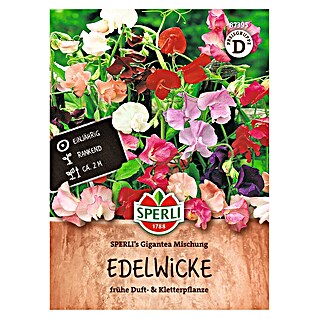 Sperli Bloemzaden (Lathyrus odoratus, Verschillende kleuren)