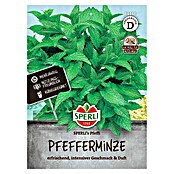 Sperli Kruidenzaad (Mentha piperita) | BAUHAUS