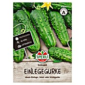 Sperli Groentezaden (Cucumis sativus) | BAUHAUS